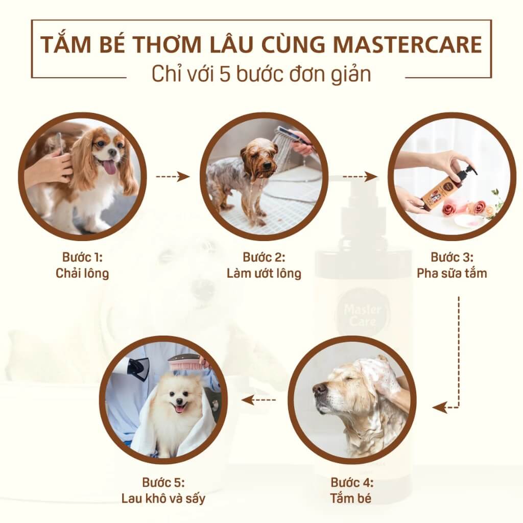 Các bước tắm cho chó