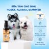 sữa tắm cho chó Alaska Husky Samoyed