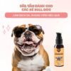 Sữa tắm cho chó Bull Dog