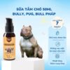 Sữa tắm cho chó Bully