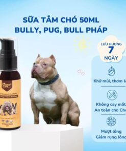 Sữa tắm cho chó Bully