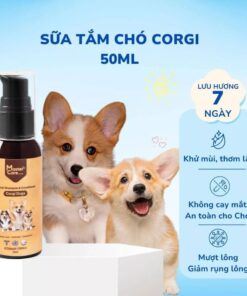 Sữa tắm cho chó Corgi Mastercare