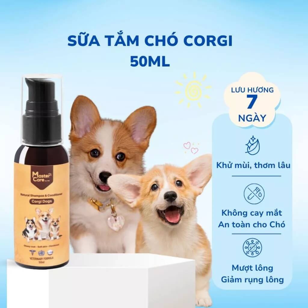 Sữa tắm cho chó Corgi Mastercare Sữa tắm cho chó Corgi Mastercare