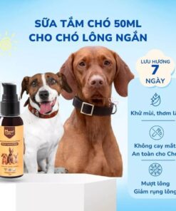 Sữa tắm cho chó lông ngắn Mastercare 50ml