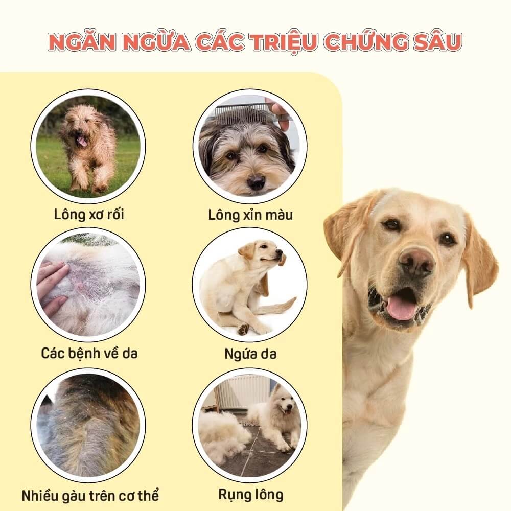 Sữa tắm cho chó Mastercare