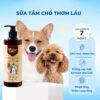 Sữa tắm cho chó, ngăn ngừa ve, ghẻ, nấm