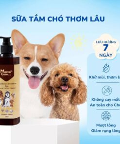 Sữa tắm cho chó, ngăn ngừa ve, ghẻ, nấm