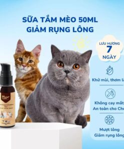 Sữa tắm cho mèo Mastercare