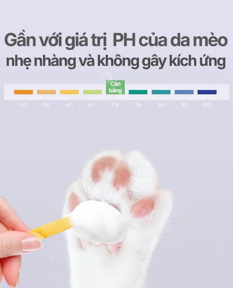 Sữa tắm Mastercare không gây kích ứng cho mèo