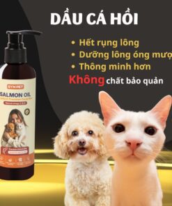 Dầu cá hồi cho Chó Mèo
