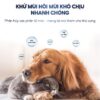 Xịt khử mùi nước tiểu chó mèo diệt khuẩn khử mùi chậu cát hôi